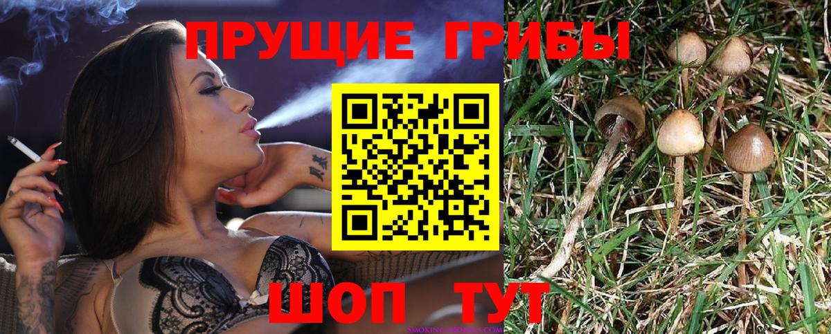 Псилоцибиновые грибы ЛСД  Галлюциногенные грибы Psilocybe  Лыткарино  Вход с VPN 